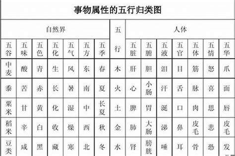 儒五行|儒字的五行属性